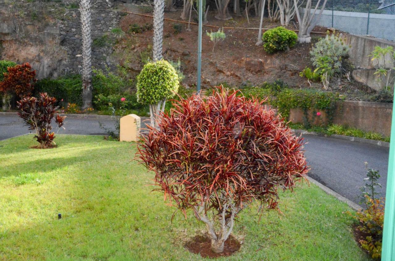 Vista Formosa Funchal Apartment Ngoại thất bức ảnh